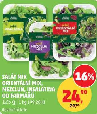SALÁT MIX ORIENTÁLNÍ MIX, MEZCLUN, INSALATINA OD FARMÁŘŮ, 125 g  