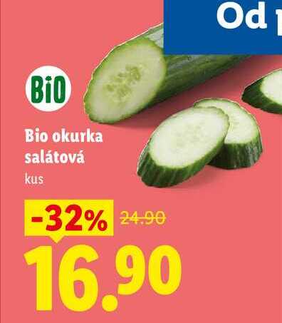 Bio okurka salátová, 1 ks