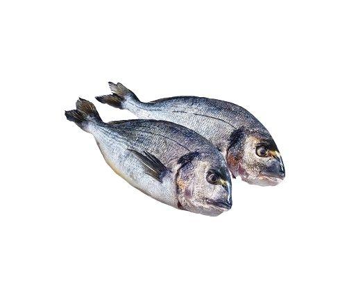 Pražma královská celá kuchaná, 1 kg