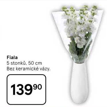 Fiala 5 stonků, 50 cm  