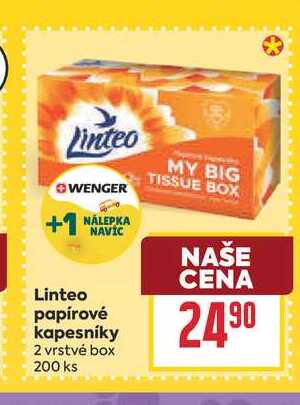 Linteo papírové kapesníky 2 vrstvé box 200 ks