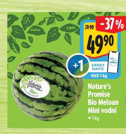 Nature's Promise Bio Meloun Mini vodní 1kg