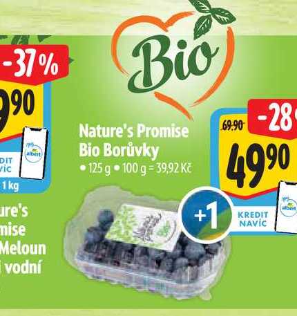   Nature's Promise Bio Borůvky 125 g 