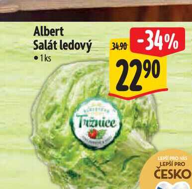 Albert Salát ledový 1 ks