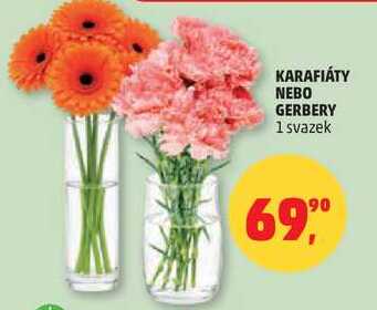 KARAFIÁTY NEBO GERBERY, 1 svazek