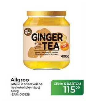 Allgroo GINGER připravek na neakoholický nápoj 400g 