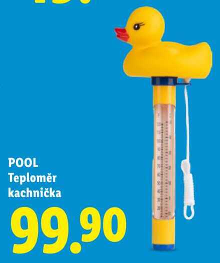 POOL Teploměr kachnička 