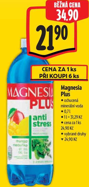 Magnesia Plus, 0,7 l