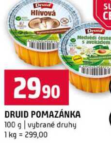 DRUID POMAZÁNKA 100 g vybrané druhy 