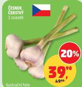 ČESNEK ČERSTVÝ, 1 svazek 