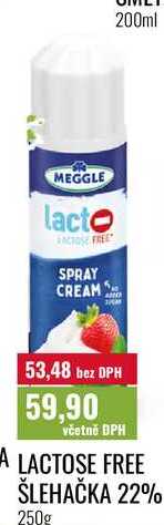 LACTOSE FREE ŠLEHAČKA 22% 250g  