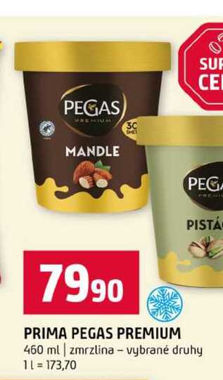 PEGAS PREMIUM 460 ml zmrzlina vybrané druhy 