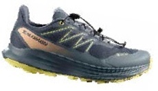 Běžecké boty »Alpharide 2 GTX«