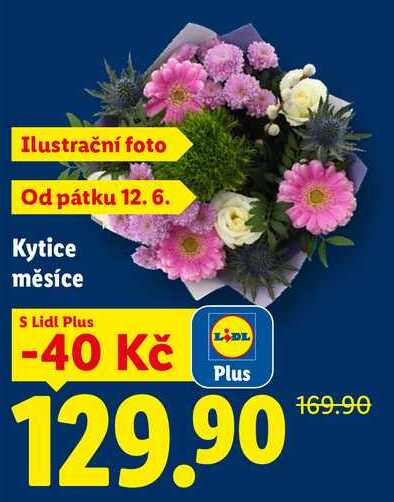 Kytice měsíce 