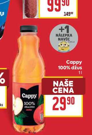 Cappy 100% džus 1l