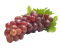 hroznové víno logo